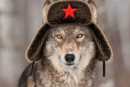 Governare con la paura